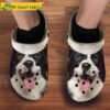 Border Collie Big Face Dog Crocs.jpg