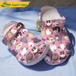 Cat Fluffy Fat Pink Crocs.jpg