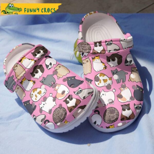 Cat Fluffy Fat Pink Crocs.jpg