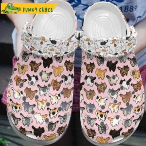 Cats Collection Animal Crocs.jpg