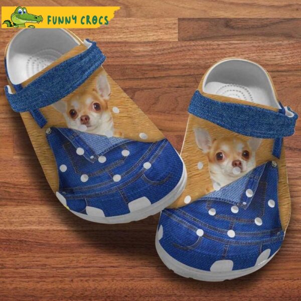 Chihuahua Open Jeans Dog Crocs.jpg