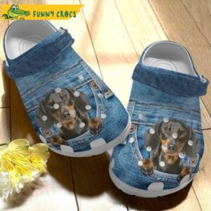 Dachshund Puppy In Jeans Dog Crocs.jpg