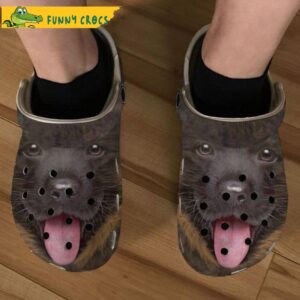 Funny German Shepherd Dog Crocs.jpg