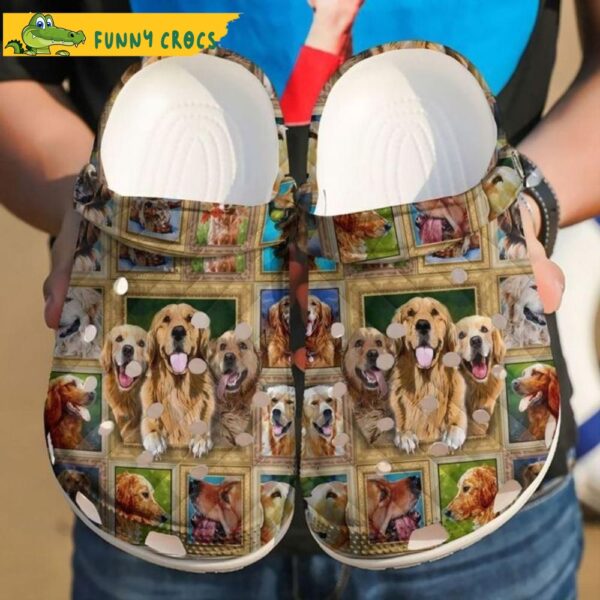 Golden Retriever Lover Dog In Crocs.jpg