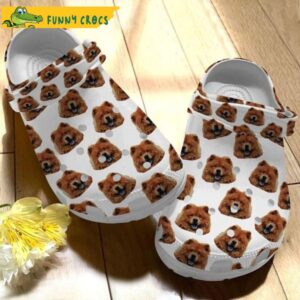 Happy Chow Chow Cute Dog In Crocs.jpg