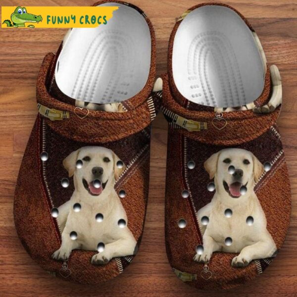 Happy Labrador Leather Dog In Crocs.jpg