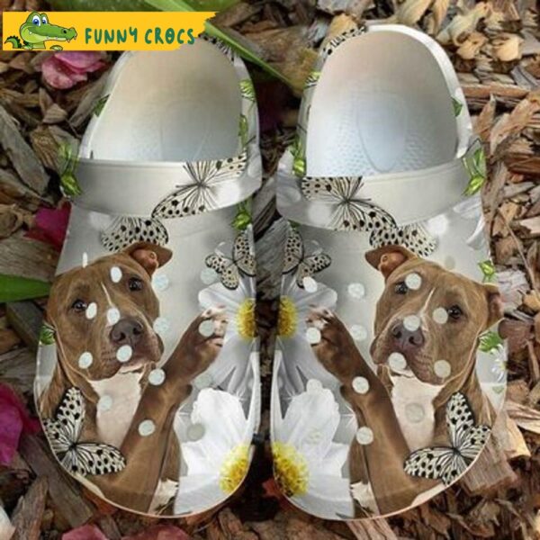 Pitbull Daisy Butterfly Cute Crocs.jpg